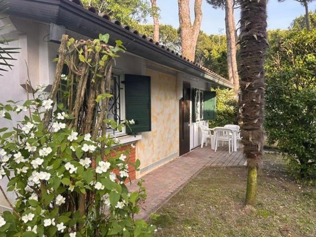 Villaggio Azzurro Lido di Jesolo Dış mekan fotoğraf